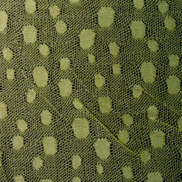 97dec507-3aaf-4396-a66a-a966757d177c