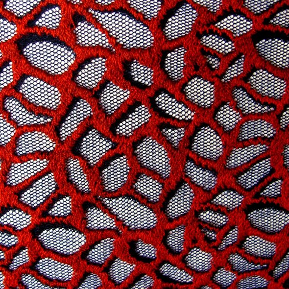 f6bd4d57-d381-426f-b9d6-87e22b206858