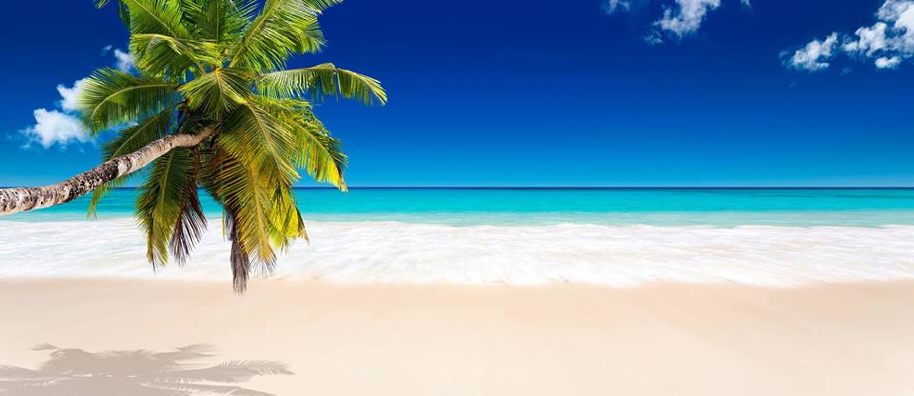 c14e97d7-782b-4941-8366-e675978c7819 c14e97d7-782b-4941-8366-e675978c7819