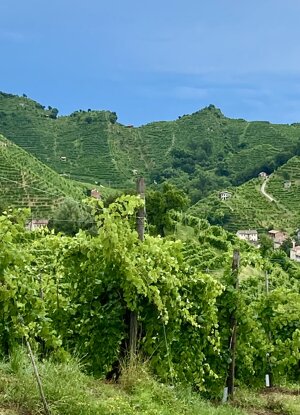 img_4577.jpeg