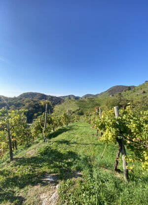 img_9790.jpeg