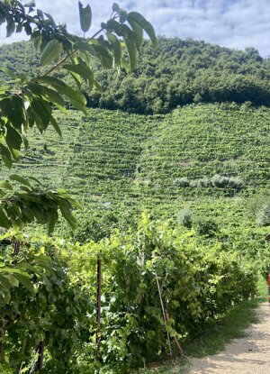 img_3533.jpeg