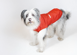 screenshot 2026-01-19 alle 13.17.11