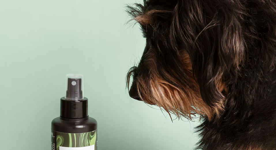 screenshot 2025-12-18 alle 15.24.36