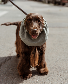 screenshot 2026-01-01 alle 18.23.30 screenshot 2026-01-01 alle 18.23.30