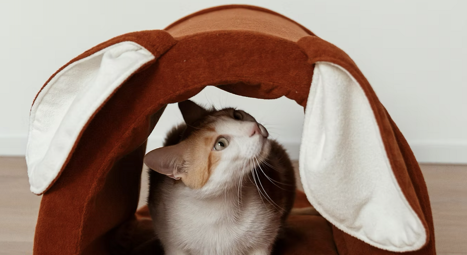 screenshot 2025-12-18 alle 15.30.20