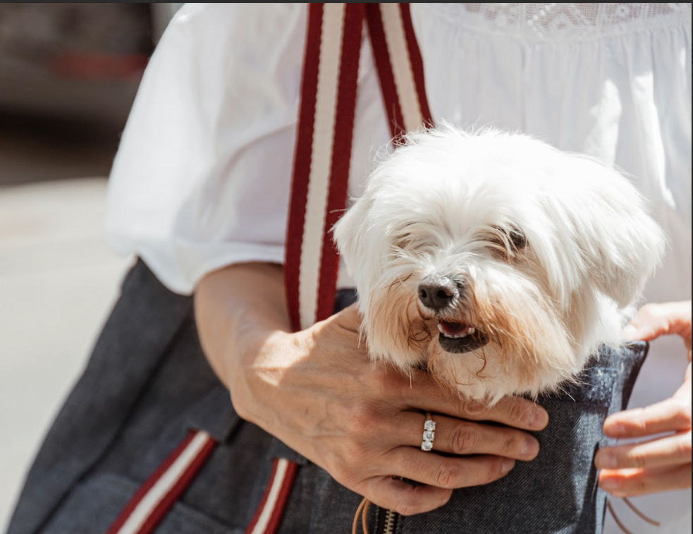 screenshot 2025-12-18 alle 14.57.32