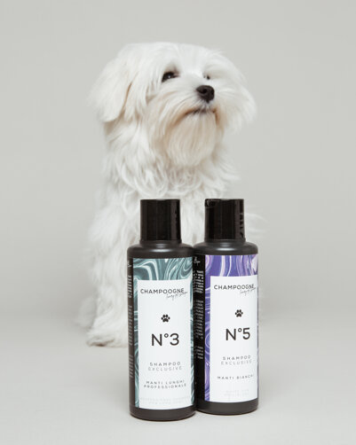 sh-settembre (342).jpeg