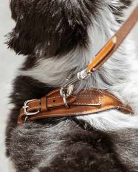 screenshot 2026-01-07 alle 15.13.37