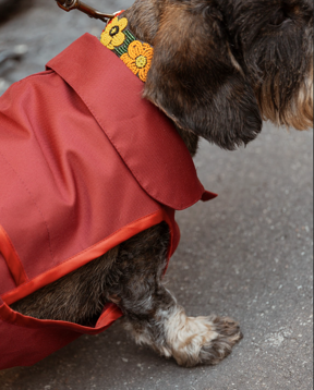 screenshot 2026-01-01 alle 18.23.56 screenshot 2026-01-01 alle 18.23.56