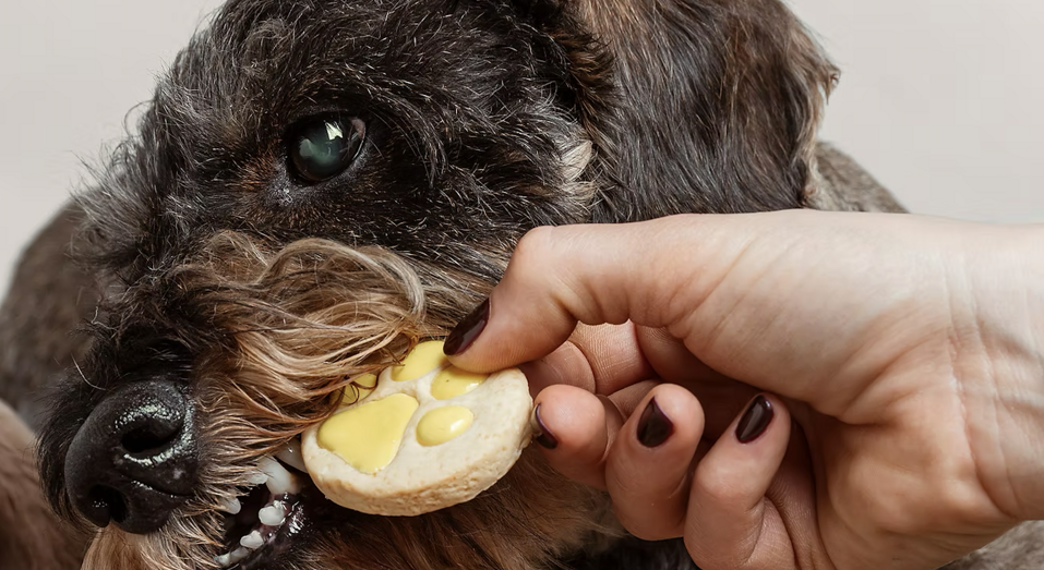 screenshot 2025-12-18 alle 15.16.31