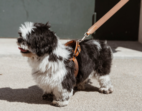 screenshot 2026-01-07 alle 15.21.52