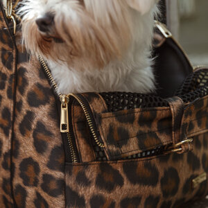 screenshot 2025-12-18 alle 14.57.32