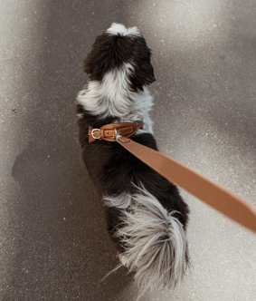 screenshot 2026-01-07 alle 15.13.15