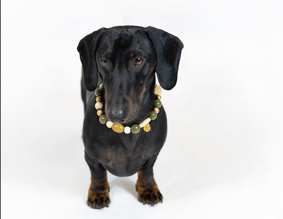 screenshot 2026-01-07 alle 15.11.42