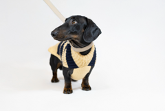 screenshot 2026-01-19 alle 11.17.39