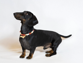 screenshot 2026-01-07 alle 15.10.49