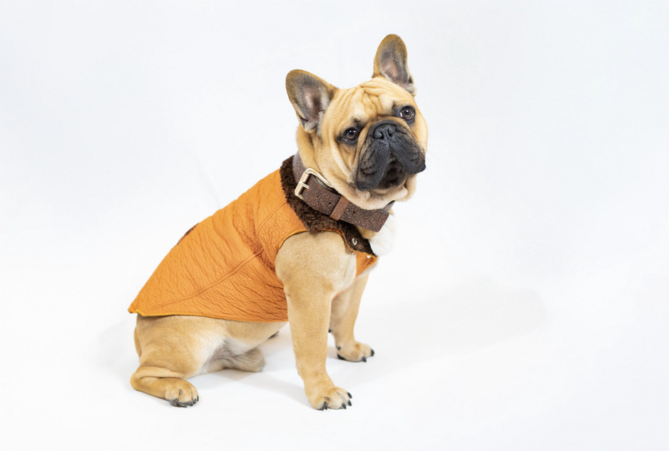 screenshot 2026-01-19 alle 11.05.03