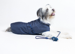 screenshot 2026-01-19 alle 13.16.40