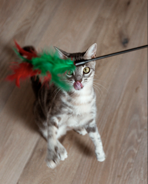 screenshot 2026-01-01 alle 18.25.31 screenshot 2026-01-01 alle 18.25.31