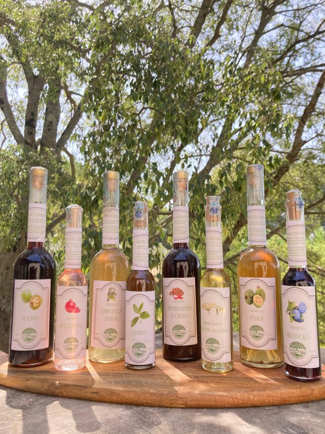 a0531558-b84b-4d5c-b708-469171f047a7