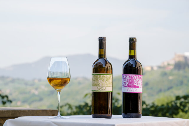 74c841d3-65e8-4b86-acc6-1bda55a40812