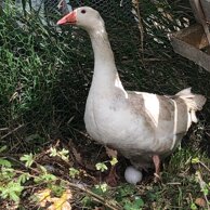 91bde3fc-08a5-4b6b-9d9f-adf6a91be88d