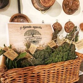 eaa14c23-30a4-4ee2-b212-f81fa26d11a7