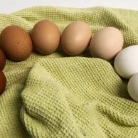 b9da60d6-ac09-4481-b48a-ec781c73f6d1