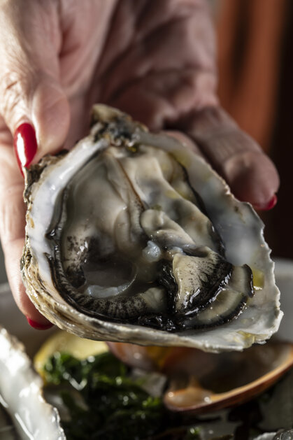 04198a06-2048-40aa-9319-e5f3f64a2c89 04198a06-2048-40aa-9319-e5f3f64a2c89