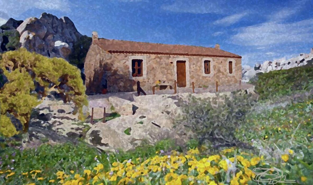 1a8c6e3c-5364-44d5-b180-559514a6249e.jpeg 1a8c6e3c-5364-44d5-b180-559514a6249e.jpeg