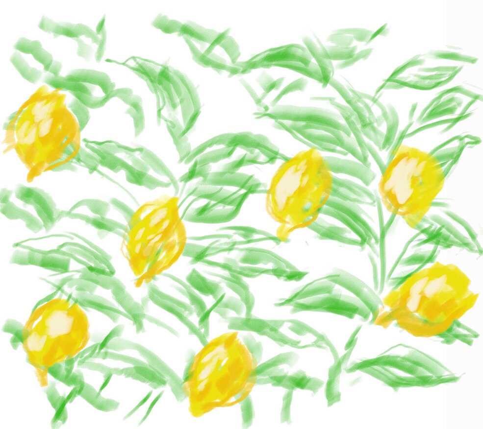 40786924-ea9d-41b6-84e6-7ec803508035