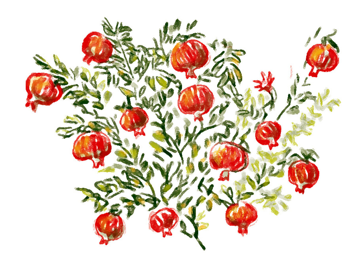 72926d29-140d-4a2c-bf74-ae7a39e26511