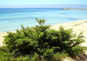 fb66a5ed-3220-444d-bf20-8d9d3dea4962 fb66a5ed-3220-444d-bf20-8d9d3dea4962