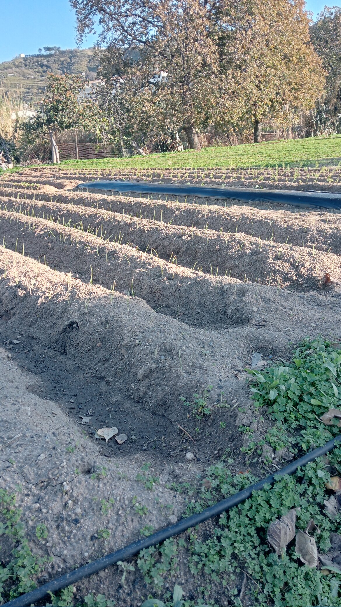 28f8b5f0-8f45-48f8-9e0a-ed3625219251