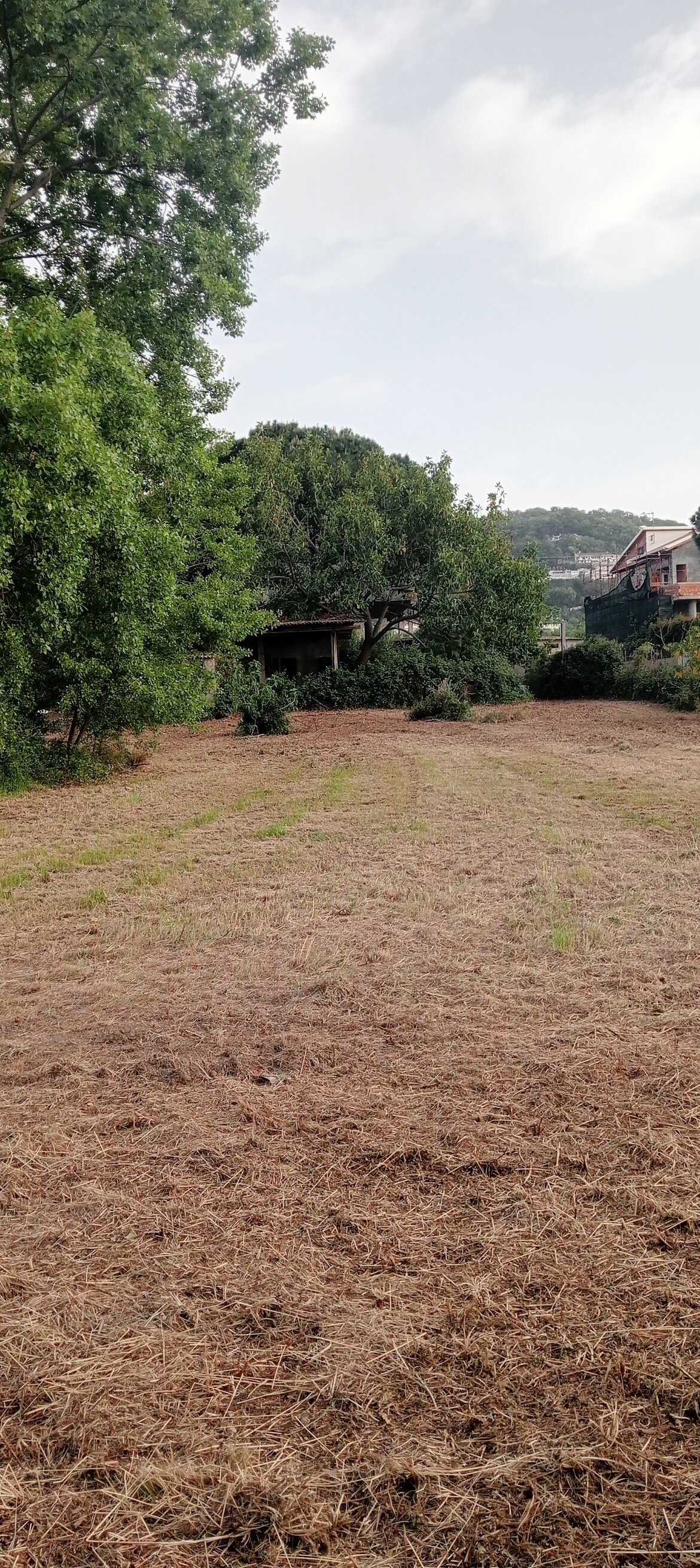 4b8cb971-a902-4f63-a3a0-f9f12552401d