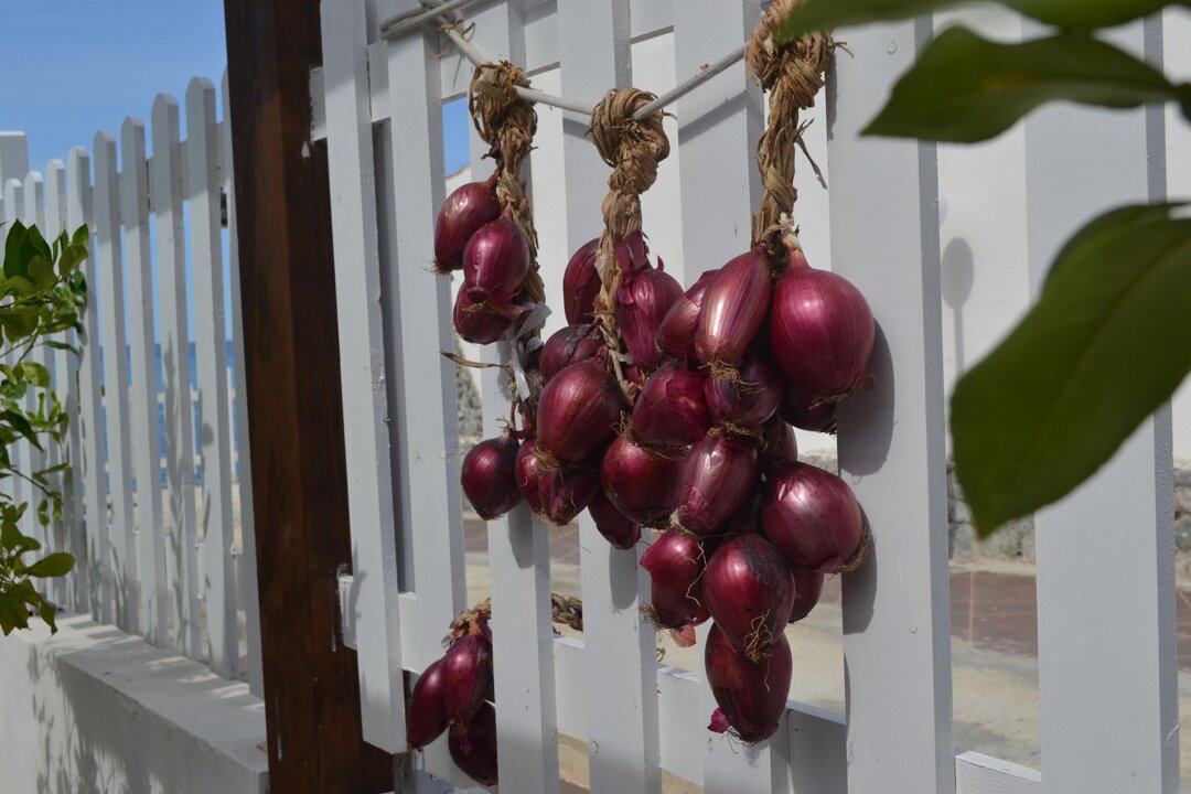 dad8105f-cdb5-4a67-a515-3830c05f5de6