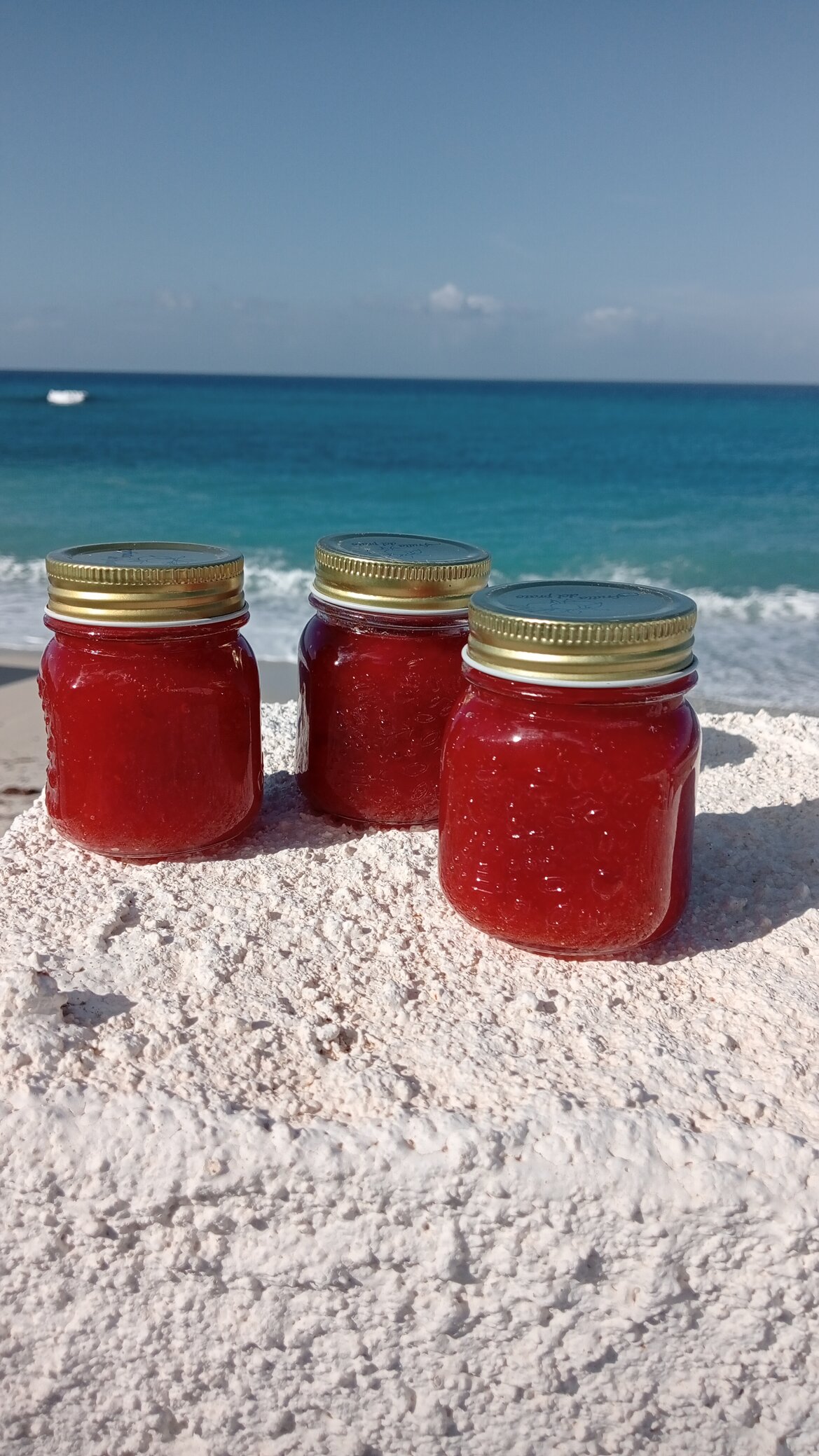 01881636-da9f-4bc7-abc8-029e891e84f0