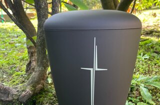 screenshot_20211130-160857_gallery.jpeg screenshot_20211130-160857_gallery.jpeg