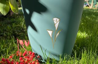 screenshot_20211115-211733_samsung%20internet.jpeg screenshot_20211115-211733_samsung%20internet.jpeg