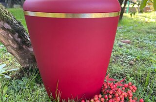 screenshot_20220411-212238_gallery.jpeg screenshot_20220411-212238_gallery.jpeg