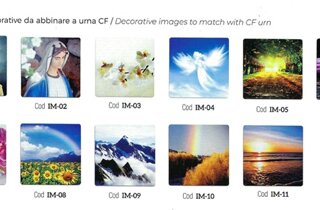 screenshot_20211130-131430_gallery.jpeg screenshot_20211130-131430_gallery.jpeg