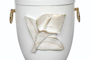 screenshot_20220411-212253_gallery.jpeg screenshot_20220411-212253_gallery.jpeg