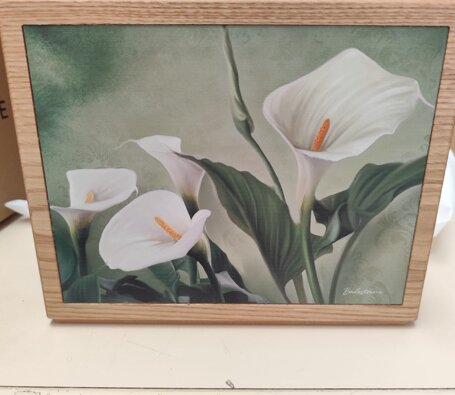 img-20250905-wa0023.jpeg img-20250905-wa0023.jpeg