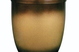 screenshot_20220411-212543_gallery.jpeg screenshot_20220411-212543_gallery.jpeg