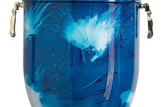 screenshot_20211130-131624_gallery.jpeg screenshot_20211130-131624_gallery.jpeg