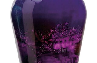 screenshot_20211130-131555_gallery.jpeg screenshot_20211130-131555_gallery.jpeg