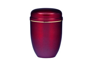 screenshot_20220411-212801_gallery.jpeg screenshot_20220411-212801_gallery.jpeg