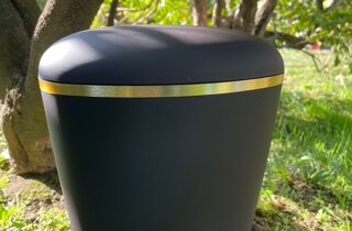 screenshot_20230130_184659_samsung%20internet.jpeg screenshot_20230130_184659_samsung%20internet.jpeg