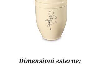 screenshot_20210309-121631_samsung%20internet.jpeg screenshot_20210309-121631_samsung%20internet.jpeg